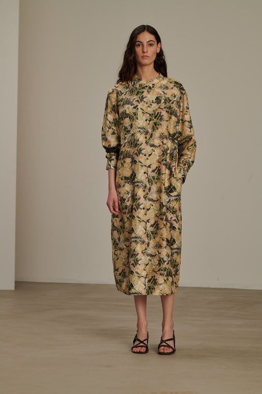 Robe Philomene - Gris/Vert - Soie - Femme